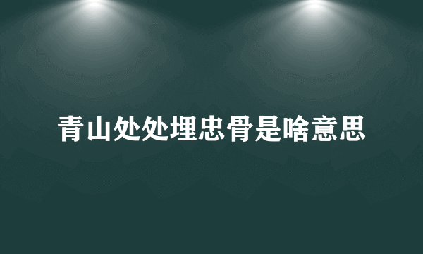 青山处处埋忠骨是啥意思