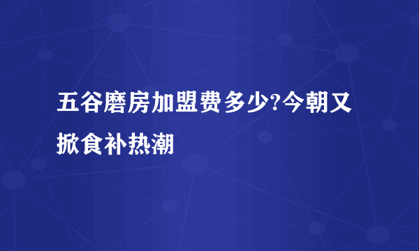 五谷磨房加盟费多少?今朝又掀食补热潮