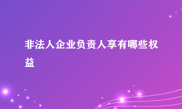 非法人企业负责人享有哪些权益