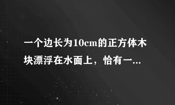 一个边长为10cm的正方体木块漂浮在水面上，恰有一半体积露出水面，求：（1）木块所受的浮力是多大？（2）