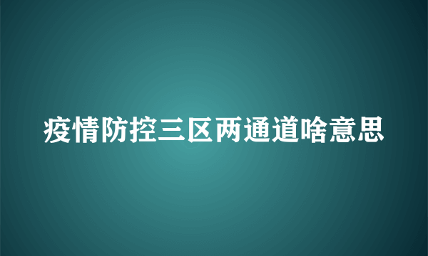 疫情防控三区两通道啥意思