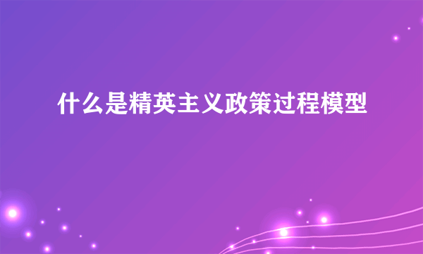 什么是精英主义政策过程模型