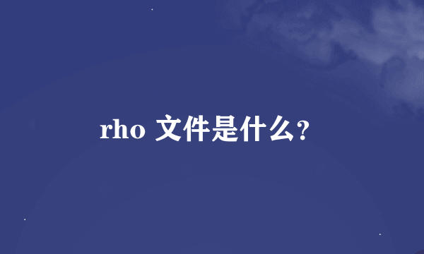 rho 文件是什么？