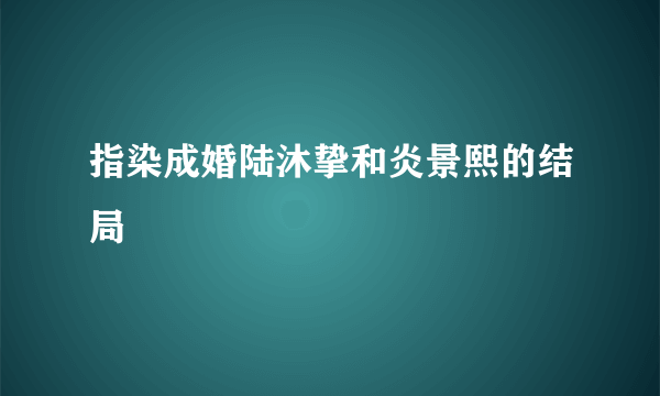 指染成婚陆沐挚和炎景熙的结局