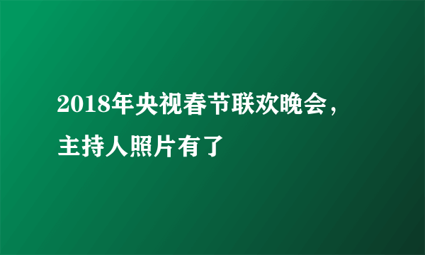 2018年央视春节联欢晚会，主持人照片有了