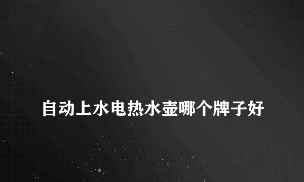 
自动上水电热水壶哪个牌子好
