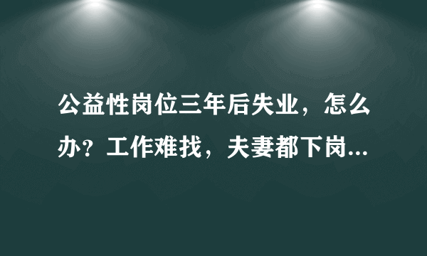 公益性岗位三年后失业，怎么办？工作难找，夫妻都下岗，田地也没有，政府是怎么啦，要不要人活，小孩要上