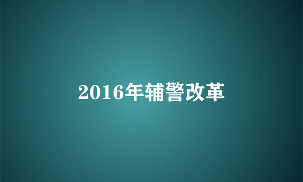 2016年辅警改革