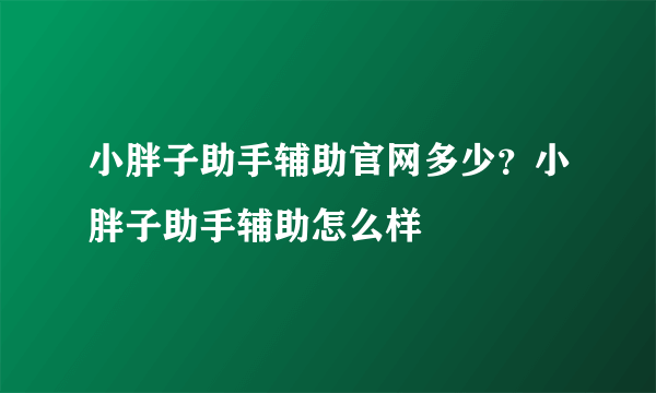 小胖子助手辅助官网多少？小胖子助手辅助怎么样