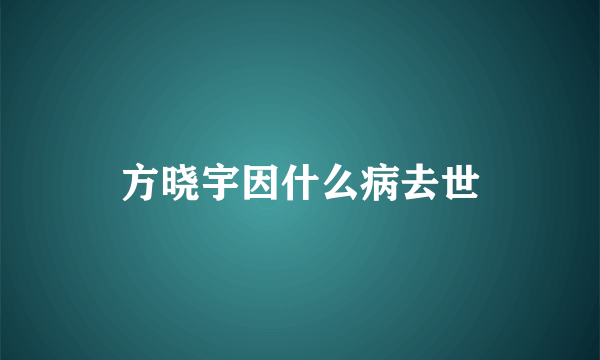 方晓宇因什么病去世