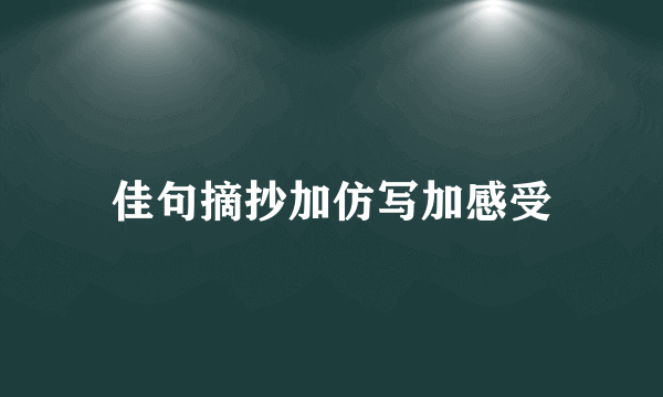 佳句摘抄加仿写加感受