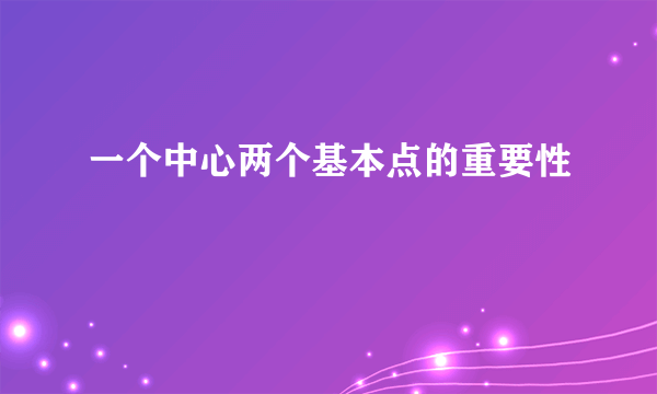 一个中心两个基本点的重要性