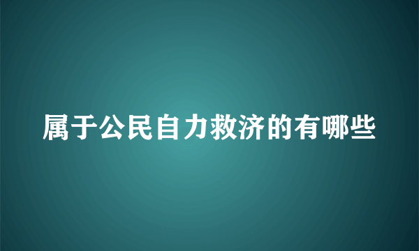 属于公民自力救济的有哪些