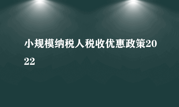 小规模纳税人税收优惠政策2022