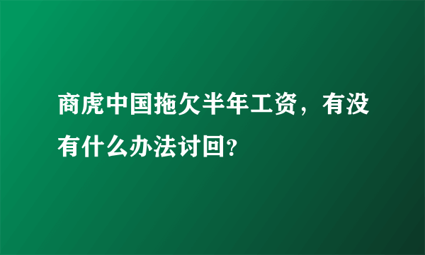 商虎中国拖欠半年工资，有没有什么办法讨回？