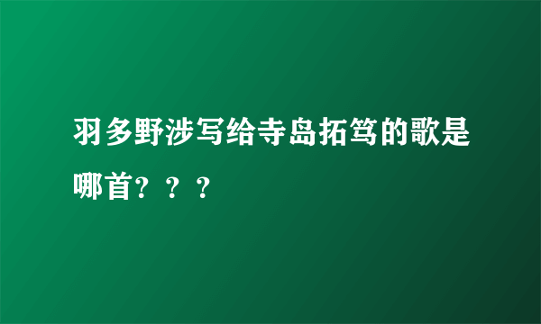 羽多野涉写给寺岛拓笃的歌是哪首？？？