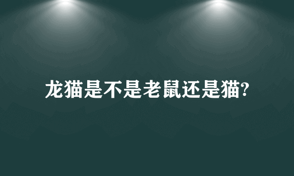 龙猫是不是老鼠还是猫?