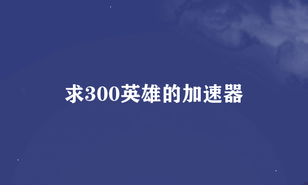 求300英雄的加速器