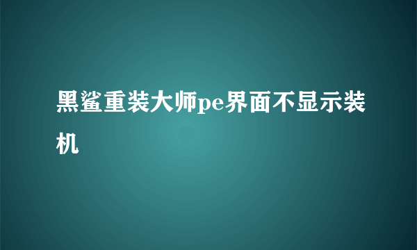 黑鲨重装大师pe界面不显示装机