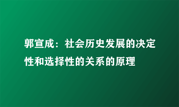 郭宣成：社会历史发展的决定性和选择性的关系的原理