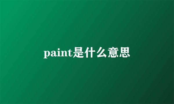 paint是什么意思