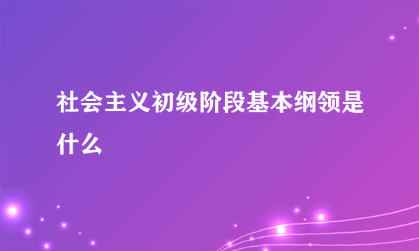 社会主义初级阶段基本纲领是什么