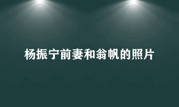 杨振宁前妻和翁帆的照片