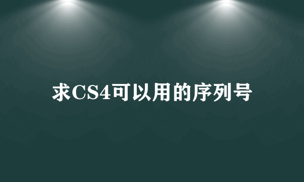 求CS4可以用的序列号