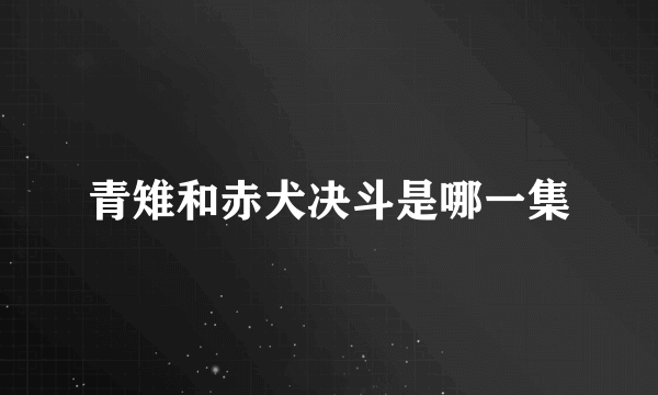 青雉和赤犬决斗是哪一集