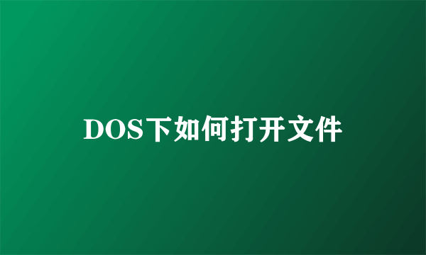 DOS下如何打开文件