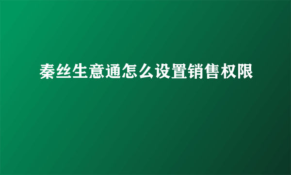 秦丝生意通怎么设置销售权限