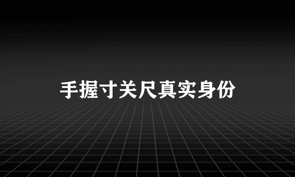 手握寸关尺真实身份