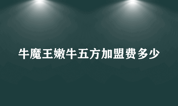 牛魔王嫩牛五方加盟费多少