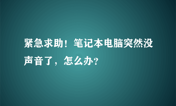 紧急求助！笔记本电脑突然没声音了，怎么办？