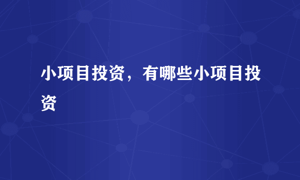 小项目投资，有哪些小项目投资