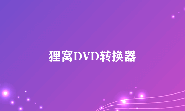 狸窝DVD转换器