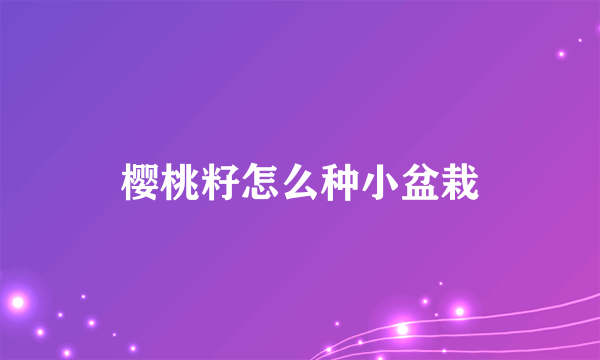 樱桃籽怎么种小盆栽