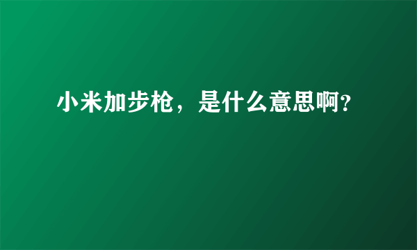 小米加步枪，是什么意思啊？