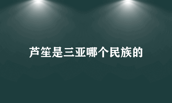 芦笙是三亚哪个民族的