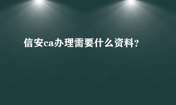 信安ca办理需要什么资料？