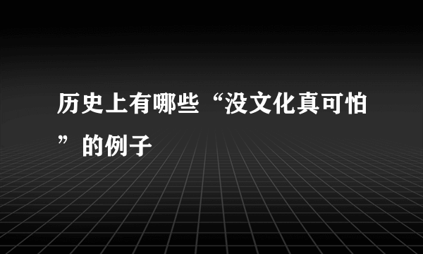 历史上有哪些“没文化真可怕”的例子