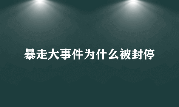 暴走大事件为什么被封停