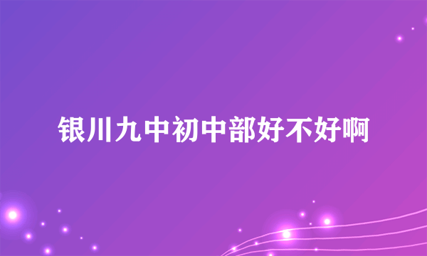 银川九中初中部好不好啊