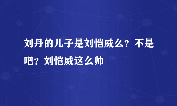 刘丹的儿子是刘恺威么？不是吧？刘恺威这么帅