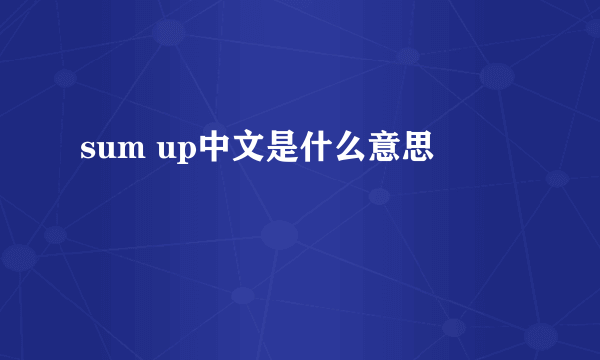 sum up中文是什么意思