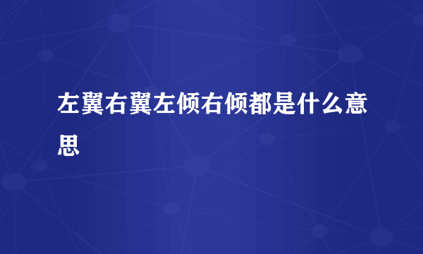 左翼右翼左倾右倾都是什么意思