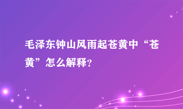 毛泽东钟山风雨起苍黄中“苍黄”怎么解释？