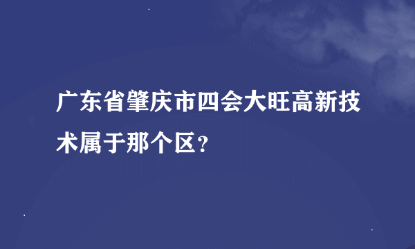 广东省肇庆市四会大旺高新技术属于那个区？