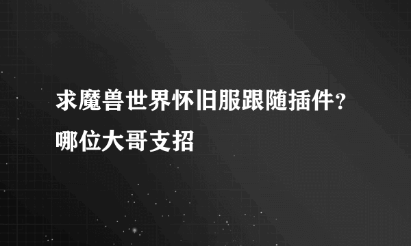 求魔兽世界怀旧服跟随插件？哪位大哥支招