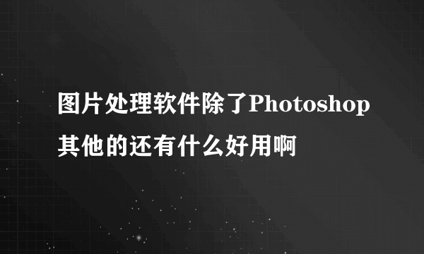 图片处理软件除了Photoshop其他的还有什么好用啊